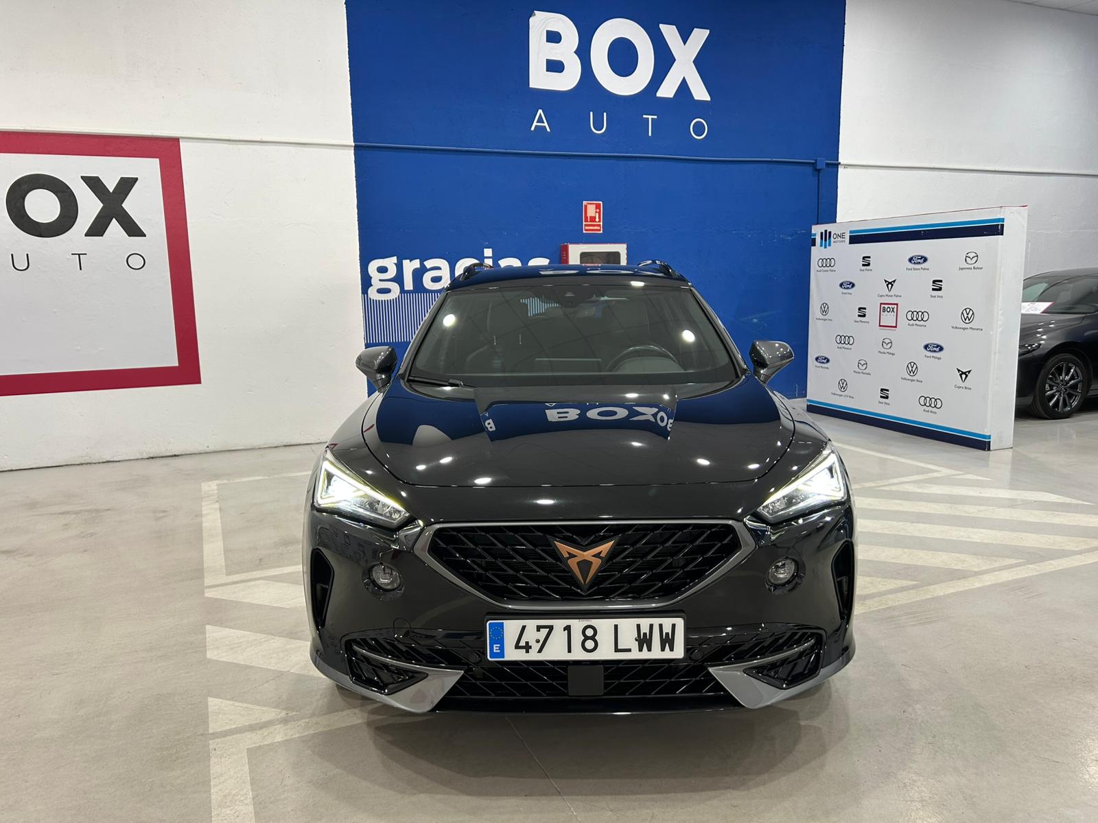 Cupra Formentor TSI 2DRIVE DSG